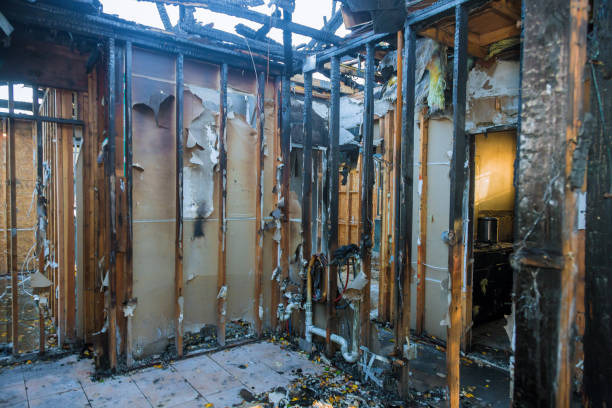 Professional Soot Cleanup technician working in Granite City, IL